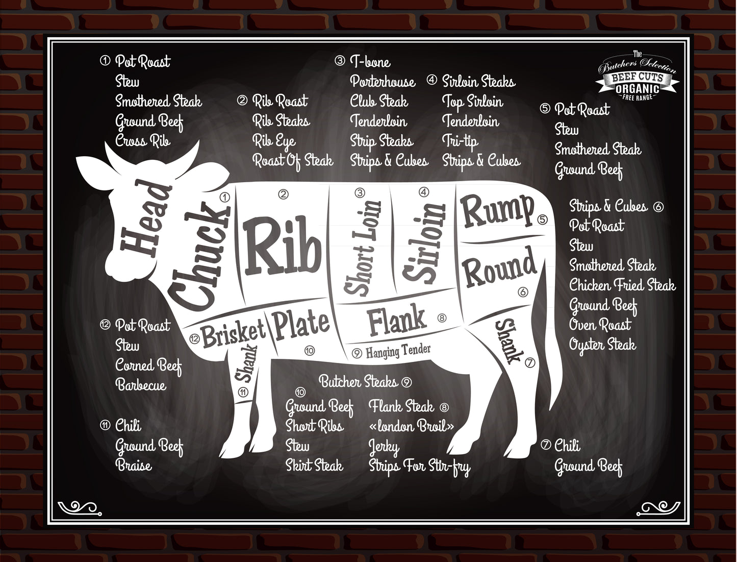Steer_primal_chart
