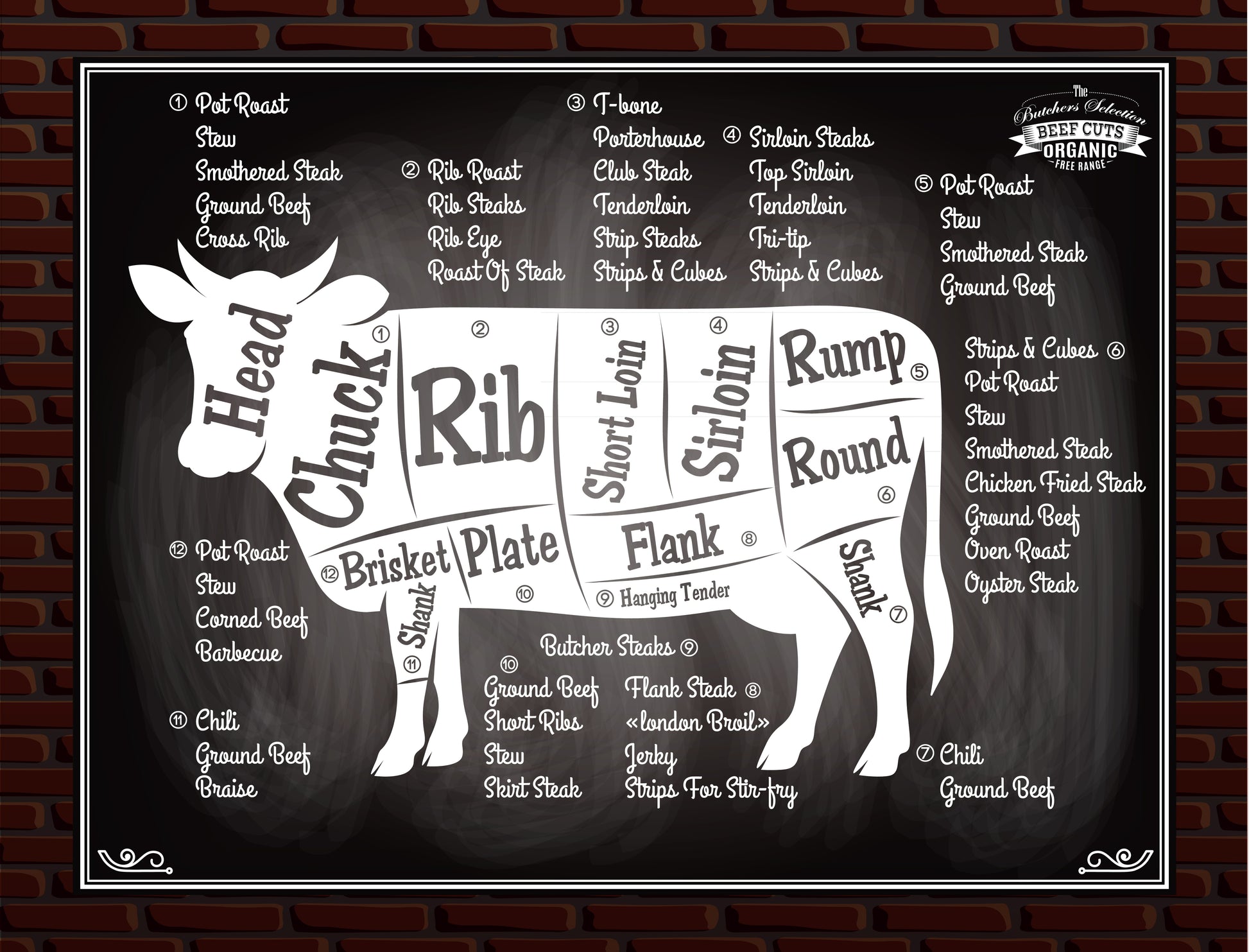 Steer_primal_chart