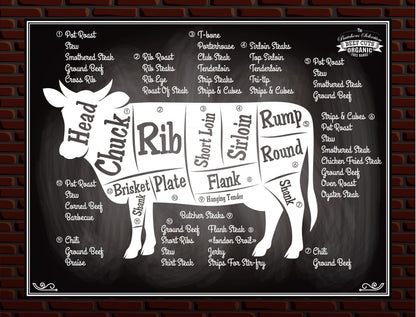 Steer_primal_chart